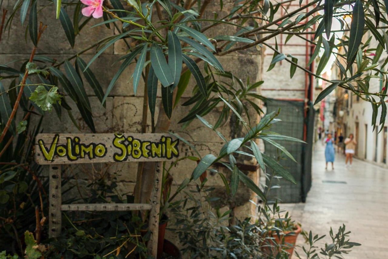 Antini Trudi Apartment Sibenik Bagian luar foto